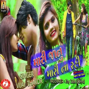 Mari Jaanu Mari Na Rahi image