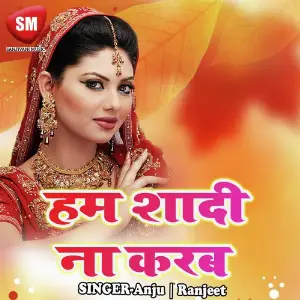 Hum Sadi Na Karab image