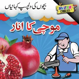 Mochi Ka Anaar image