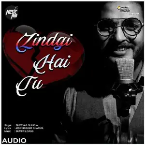 Zindagi Hai Tu image