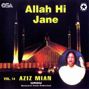Allah Hi Jane, Vol. 14 image