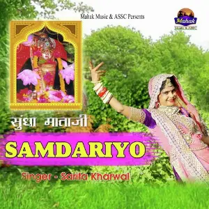 Sundha Mataji Samndariyo image