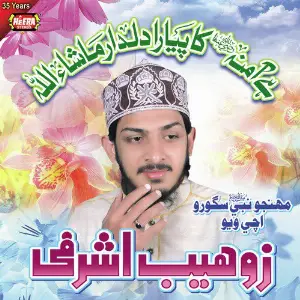 Hai Amna Ka Piyara Dildar image