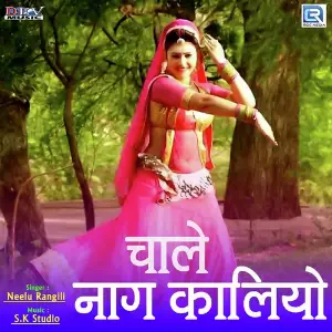 Chaale Naag Kaliyo image