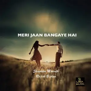 Meri Jaan Bangaye Hai image