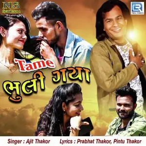 Tame Bhuli Gaya image