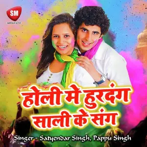 Holi Me Hurdang Sali Ke Sang image