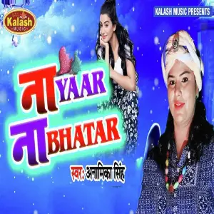 Naa Yaar Na Bhatar image