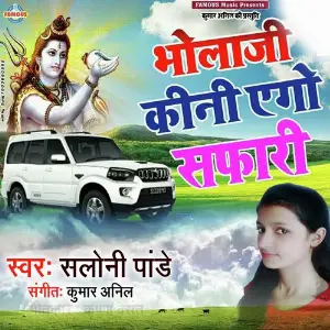 Bhola Jee Kini Ago Safari image
