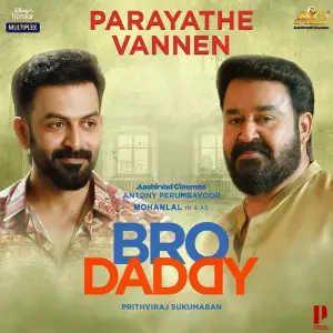 Bro Daddy image