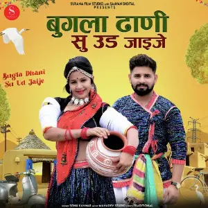 Bugla Dhani Su Ud Jaije image