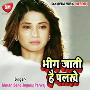 Bhig Jati Hai Palke image