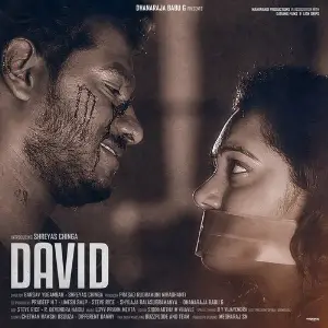 David image