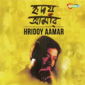 Hridoy Aamar image