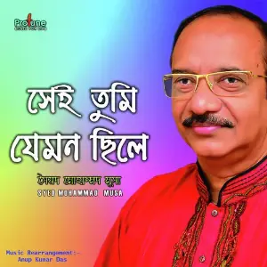 Sei Je Tumi Jemon Chile image