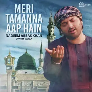 Meri Tamanna Aap Hain - Single image