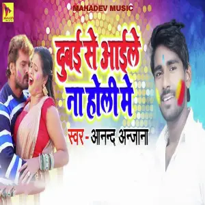 Dubayi Se Aaile Na Holi Me image