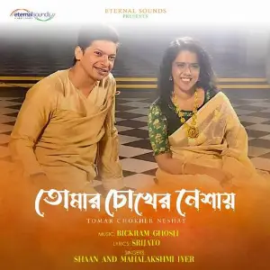 Tomar chokher neshay image