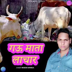 Gau Mata Lachar - Single image