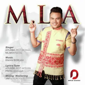 MLA - Single image