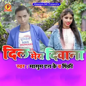 Dil Mera Deewana image
