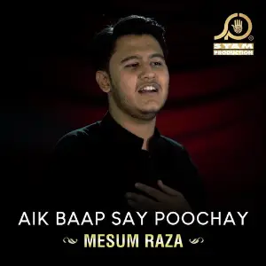 Aik Baap Say Poochay - Single image