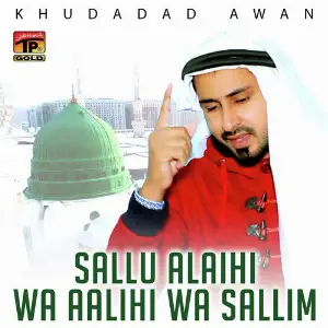 Sallu Alaihi Wa Aalihi Wa Sallim - Single image