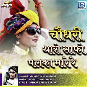 Choudhary Tharo Safo Palka Mare Re image