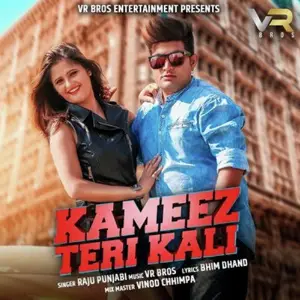 Kameez Teri Kali image
