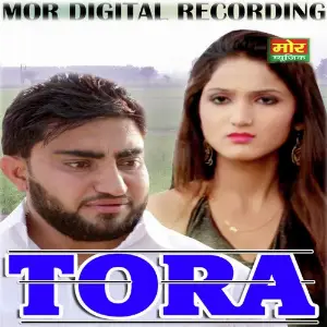 Tora CK Nara