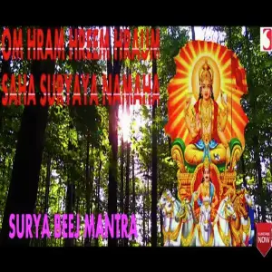 Surya Beej Mantra Siddharth Shankar Shrivastav