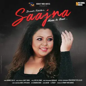 Saajna - Single image