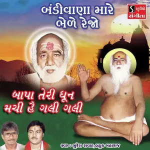 Bandivala Mari Bhere Rejo image