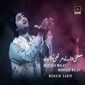 Mustafa Walay Murtaza Walay - Single image