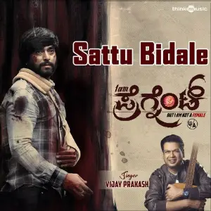 Sattu Bidale (From I am Pregnant) image
