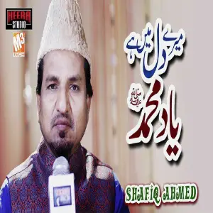 Mere Dil Main Hai Yaad E Muhammad - Single image