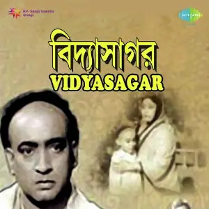 Vidyasagar image