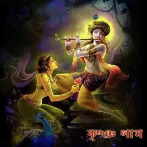 Krishna Nam image