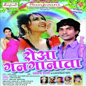 Rowa Gan Ganata image