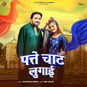 Patte Chaat Lugai image