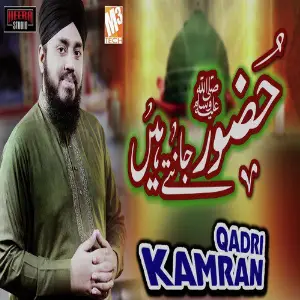 Huzoor Jante Hain - Single image