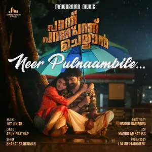 Neer Pulnaambile (From Parannu Parannu Parannu Chellan) image