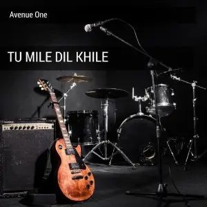 Tu Mile Dil Khile image