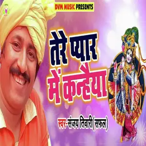 Tere Pyaar Me Kanhiya image