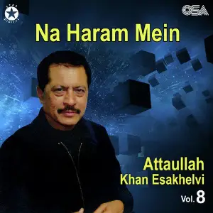 Na Haram Mein, Vol. 8 image