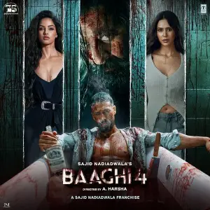 Baaghi 4 image