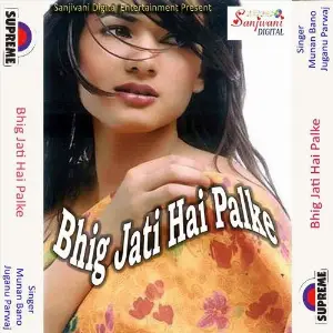 Bhig Jati Hai Palke image