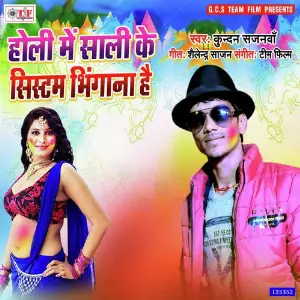 Holi Me Sali Ke System Bhigana Hai image