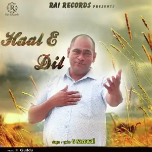 Haal E Dil image