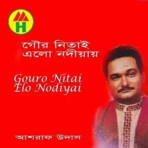 Gouro Nitai Elo Nodiyai image